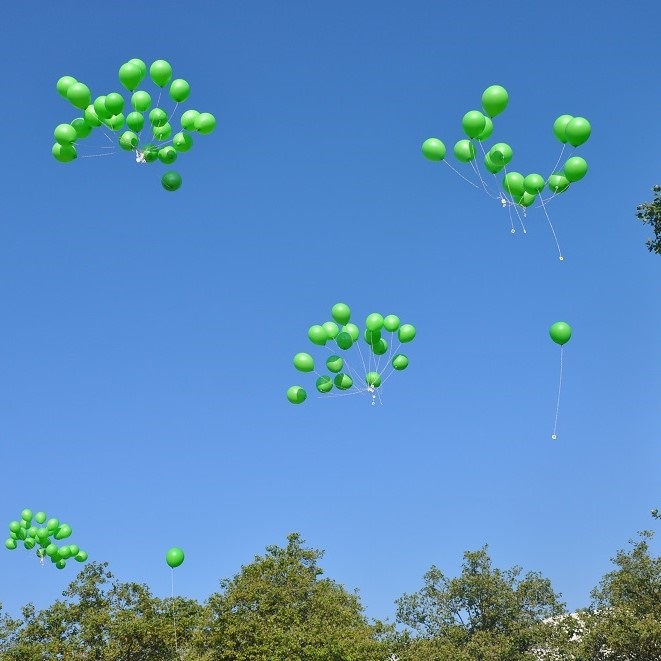  Green nature balloons rise to the sky