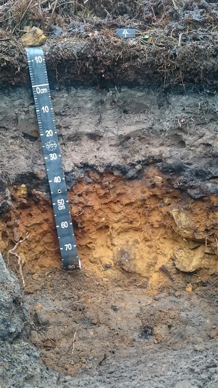 Soil profile of a podsol