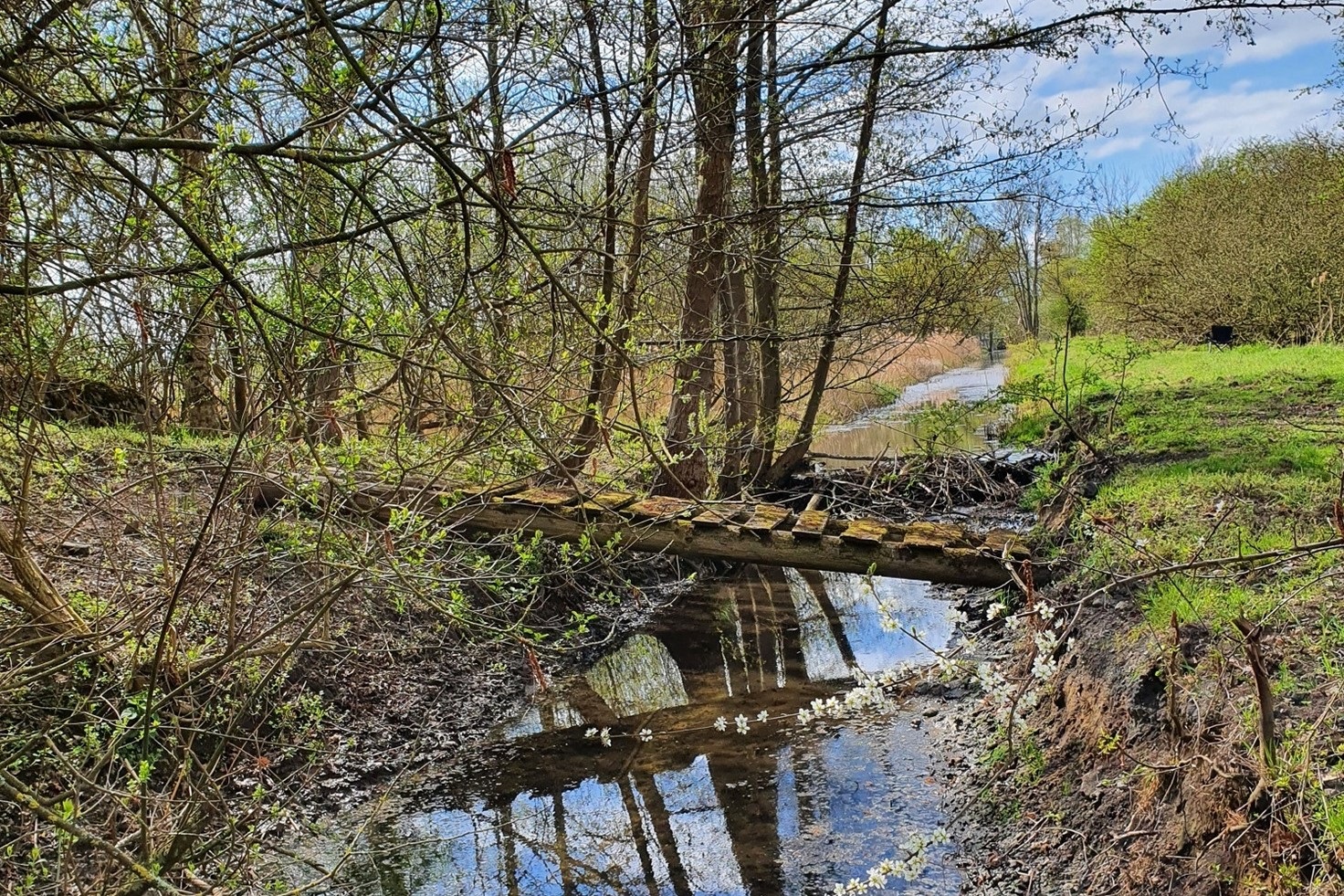 Naturschutzgebiet Düpenwiesen