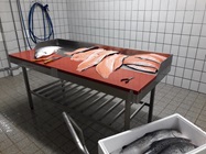 Fischspezialitäten Retzer
