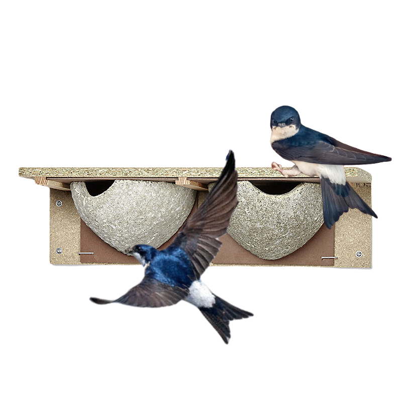 Two house martin nests under a roof overhang