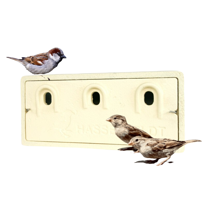 Colony nesting box for sparrows Exterior view