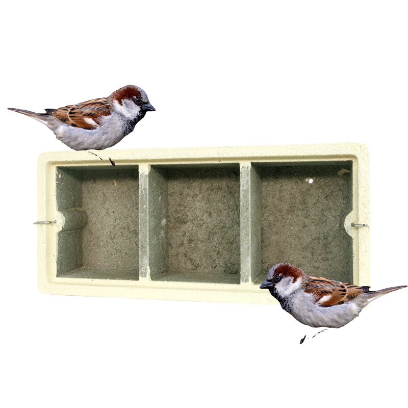 Colony nesting box for sparrows Interior view