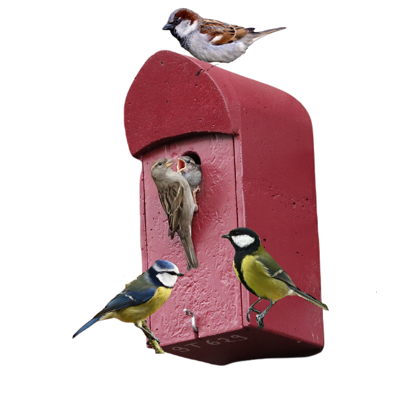 Nesting aid for great tit, tree sparrow and house sparrow, black redstart and common redstart, blue tit 